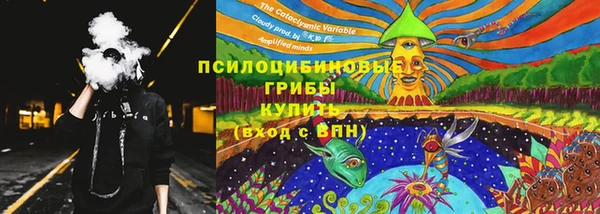 мяу мяу мука Алексеевка