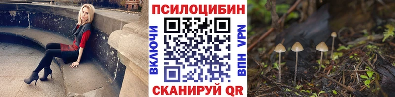 Псилоцибиновые грибы GOLDEN TEACHER  Лесосибирск 