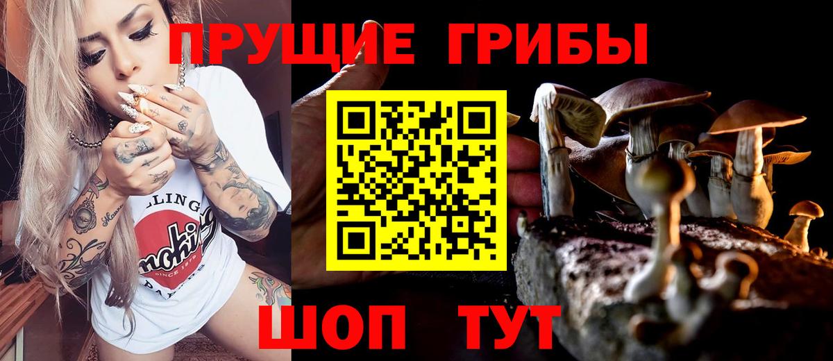 Галлюциногенные грибы Psilocybe  Вход с VPN  сколько стоит  Псилоцибиновые грибы мухоморы  Лесосибирск 