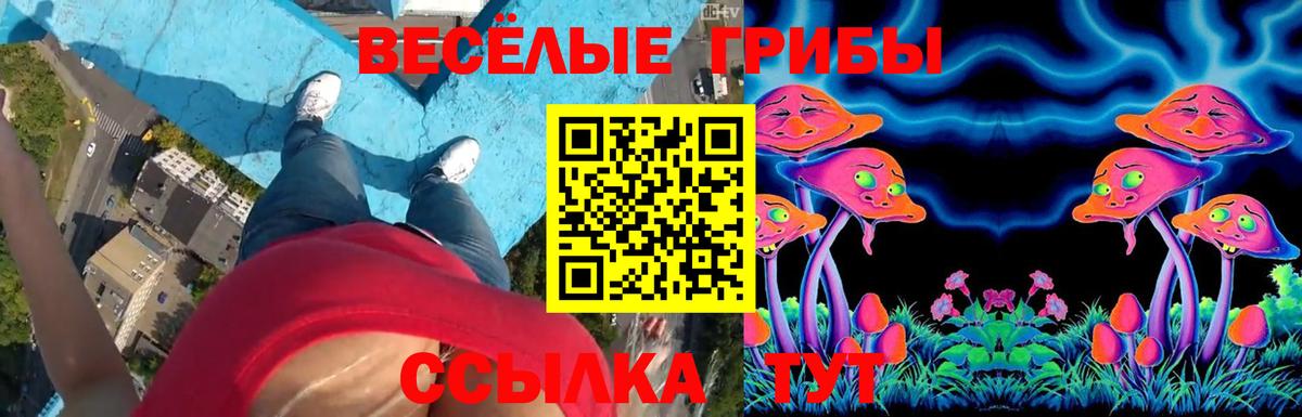 Галлюциногенные грибы Cubensis Лесосибирск